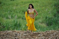 Tapsee Latest Gallery